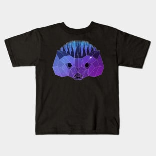 Galaxy Hedgehog Kids T-Shirt